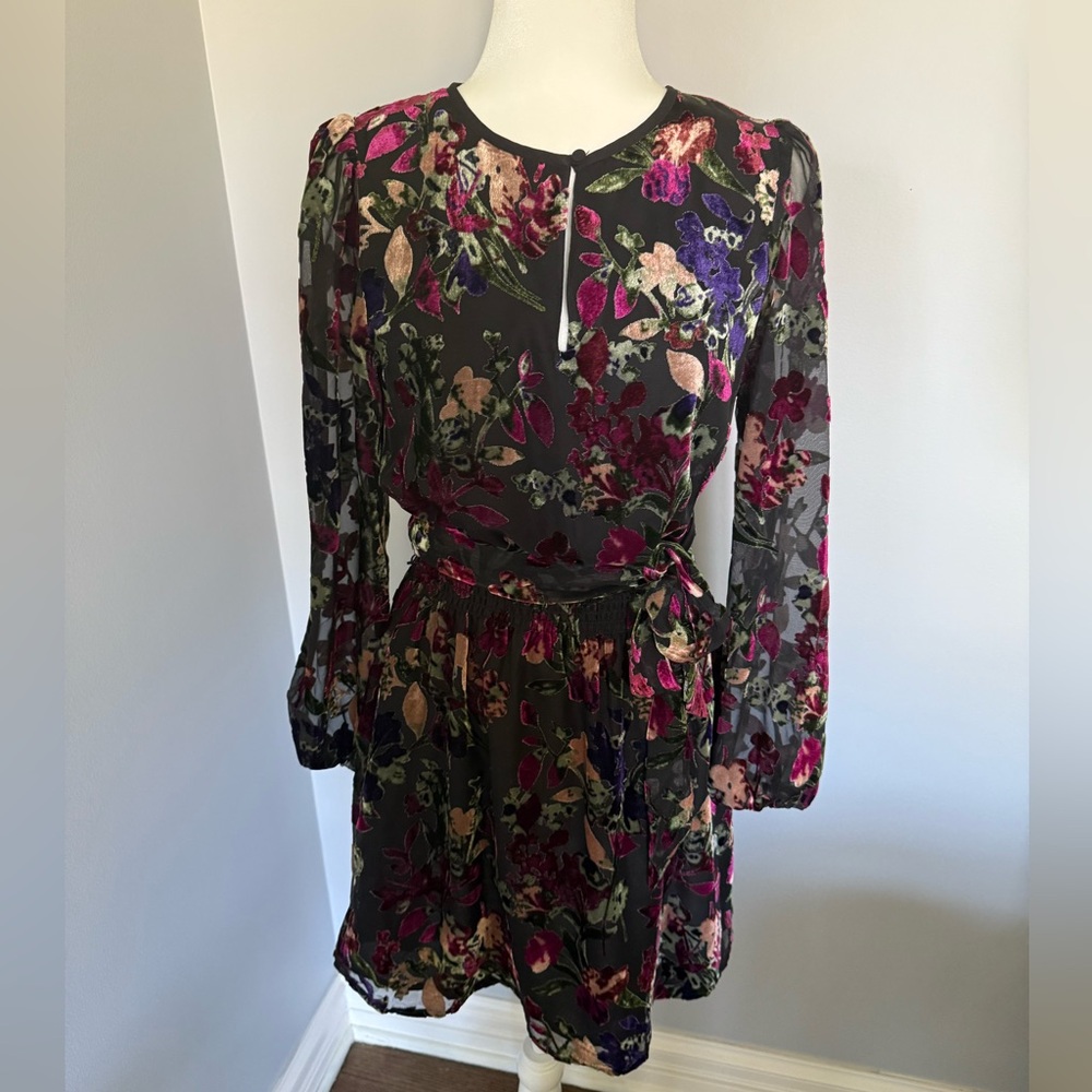 Evereve Floral Dress with Velvet Detail.